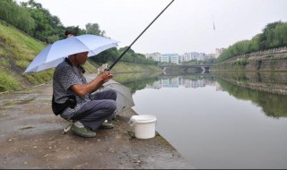 春分钓鱼选位技巧（春分钓鱼选位技巧图解）