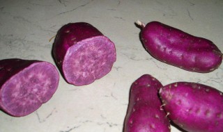 四川可以栽培紫甘薯吗（紫薯在四川可以种植吗）