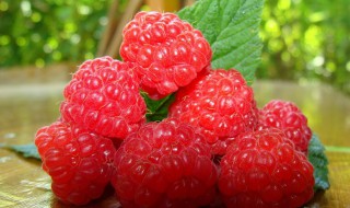 山莓和树莓的区别 山莓和树莓的区别在哪里