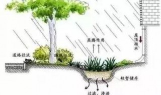 植被截流什么意思（植被截流量是什么意思）