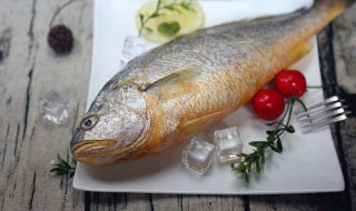 黄花鱼的营养价值及功效与作用 养殖黄花鱼的营养价值及功效与作用