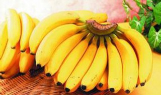 香蕉的营养价值及功效与作用 香蕉的功效与作用的营养