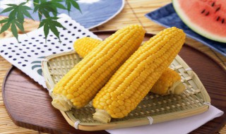 玉米的功效与作用及营养价值 玉米的功效与作用及营养价值视频