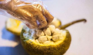 菠萝蜜的营养价值及功效与作用（菠萝蜜的功效与作用、禁忌和食用方法）