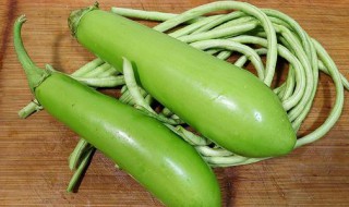 绿茄子营养价值及功效与作用 绿茄子的营养