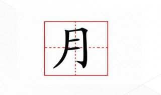 月字旁的字有哪些 扌字旁的字有哪些