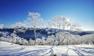 积雪对农作物保温作用的原理 积雪的保温作用和冻害