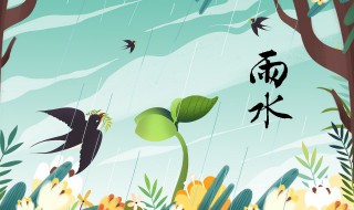 雨水是什么意思 雨水是什么意思?