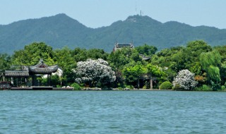 西湖三岛是哪三岛 西湖三岛是哪三岛的读音