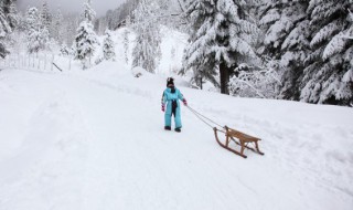 大雪节气会下雪吗（大雪节气会下雪吗为什么）