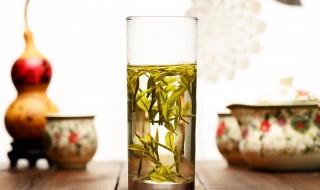 春节养生要喝什么茶最好 春季喝什么茶最养生
