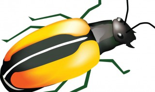 杀灭黄条跳甲最有效的方法 黄条跳甲虫用什么药杀死最快