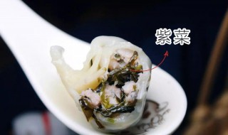 紫菜饺教程（紫菜饺子怎么做好吃）