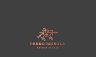 pedro是什么牌子（pedro是什么牌子的包）