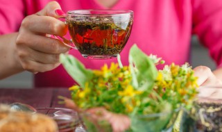 野菊花茶功效（野山菊花茶的功效与作用）