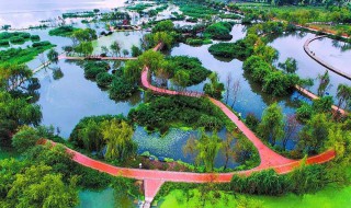 湿地的生态功能 湿地的生态功能属于生物多样性的什么价值