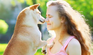 训练爱犬的方法 训练爱犬的方法 篮球犬