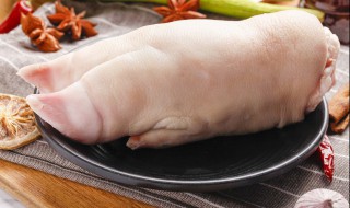 鱼鳔炖猪蹄（鱼鳔炖猪蹄的作用）