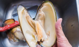 蚌肉炖辰砂（蚌肉汤怎么做）