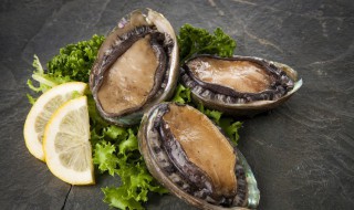 原汁蚝皇极品鲍 原汁蚝皇极品鲍鱼怎么做