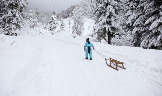 滑雪如何刹车和转弯（双板滑雪如何刹车和转弯）