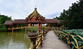 西双版纳旅游禁忌有哪些(西双版纳有什么忌讳吗)