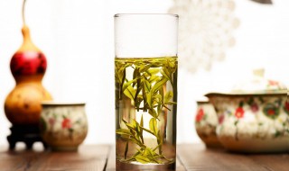 龙井茶的正确冲泡方法 白茶对男性的性功能
