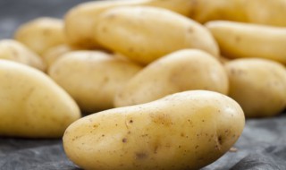 什么样的土豆不能吃 土豆发多大的芽不能吃图片