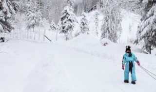 滑雪倒滑刹车技巧 滑雪倒滑刹车技巧图解