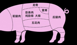 猪肉分割方法步骤 新东方猪肉分割培训