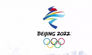 2022年北京冬奥会（2022年北京冬奥会和冬残奥会吉祥物）