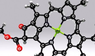 叶绿素的简单结构（叶绿素的简单结构示意图）