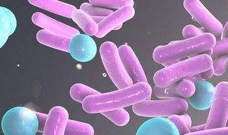 细菌为什么没有细胞吗 细菌为什么没有细胞膜