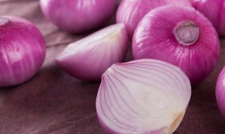 洋葱冬天管理方法(洋葱越冬管理)