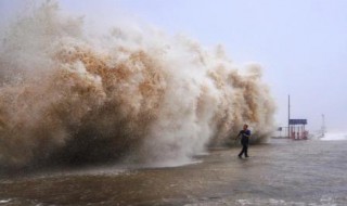 风暴潮根据风暴性质分为什么（风暴潮的定义）