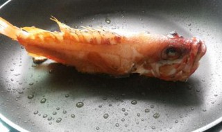 太平洋玫瑰鱼的烹饪方法 玫瑰鱼怎么养