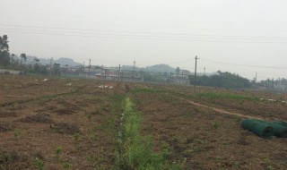农村实用的灌溉方法 农村灌溉项目怎么做