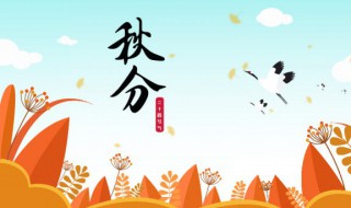 秋分是什么节气（秋分节气的特点和风俗）