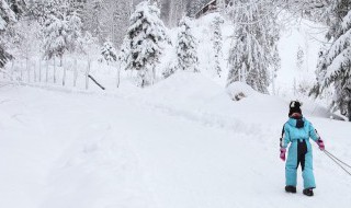 平行式滑雪转弯立刃技巧（滑雪平行式转弯教学）