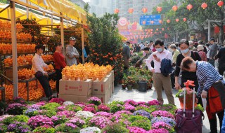 春天红色的植物有哪些（春天红色的植物有什么）