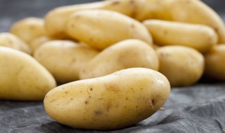 土豆收获季节 土豆何时种植,何时收获