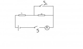 定值电阻的规格是什么意思（定值电阻的阻值是多少）