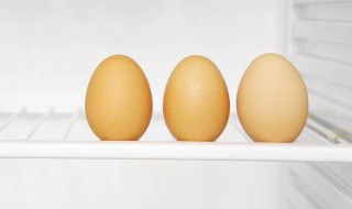 放进冰箱二个小时的鸡蛋还能孵小鸡吗 要满足什么条件才能孵小鸡