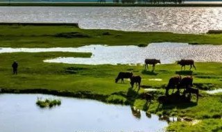 鄱阳湖水位季节变化特点 鄱阳湖水位季节变化特点图