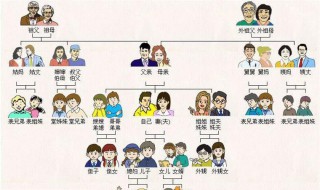 直系家属是指哪些啊 直系家属是指哪些啊