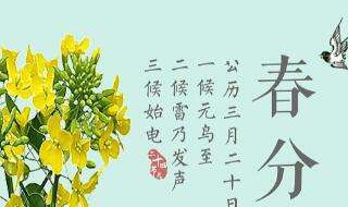 三月份有哪些季节 三月份有哪些季节菜