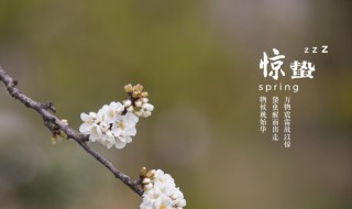 惊蛰节气的特点和风俗是什么 2021惊蛰节气的特点和风俗