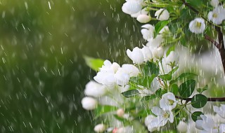 关于春雨绵绵的心情说说有哪些 春雨绵绵说说祝福