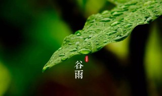 秋处露秋寒霜降是指哪六个节气 春雨惊春清谷天,夏满芒夏暑相连