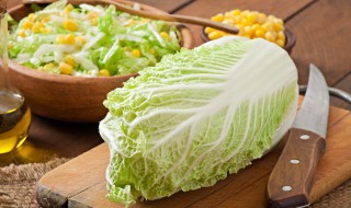 清爽减脂蔬菜沙拉的做法（简单减脂蔬菜沙拉怎么做好吃）